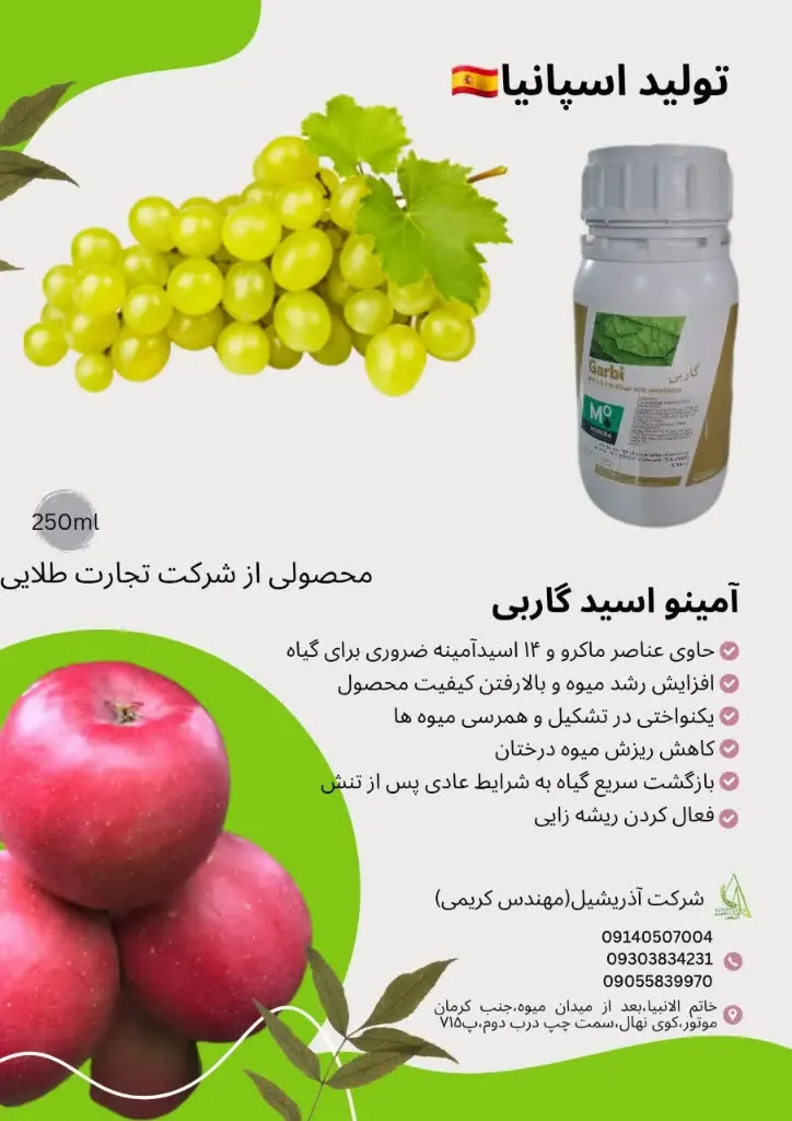 گاربی 250 سی سی موررای اسپانیا
