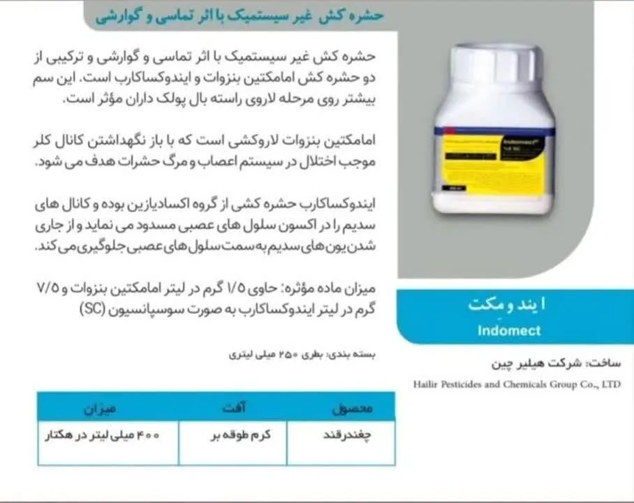 ایندومکت هایلر چینی تجارت طلایی