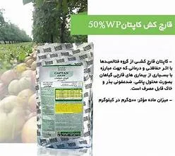 کاپتان یک کیلویی داروگستر