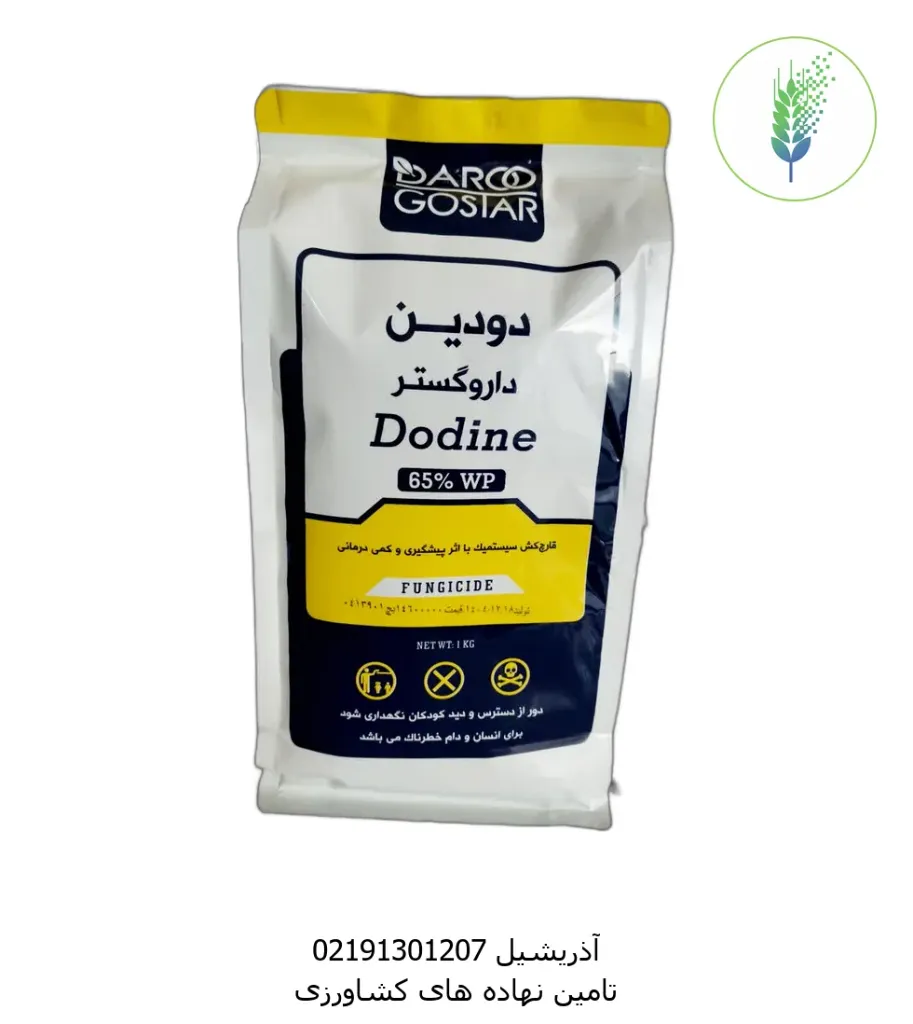 دودین یک کیلویی داروگستر