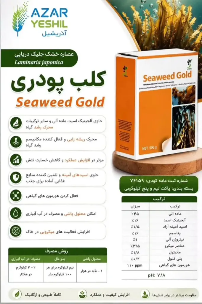 کلپ پودری (سیوید گلد) تجارت طلایی